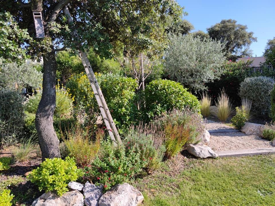 La Mathilde Bed and Breakfast Villeneuve-lès-Avignon Εξωτερικό φωτογραφία